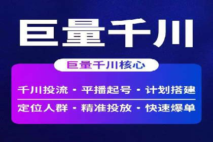 竞价排名在电商行业的实战案例